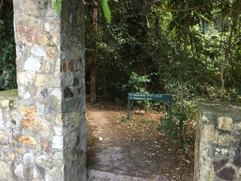 Mooloolah River National Park: Mooloolah River Circuit