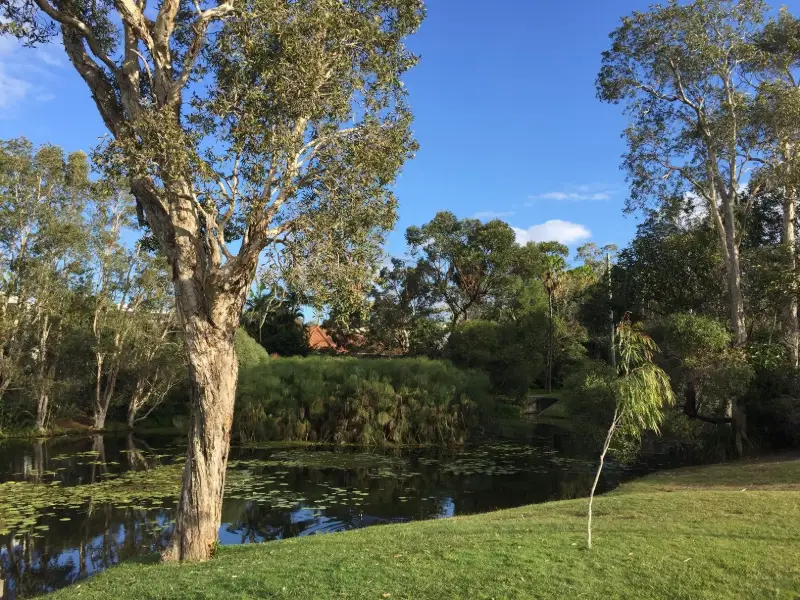 Alex Forest Conservation Area