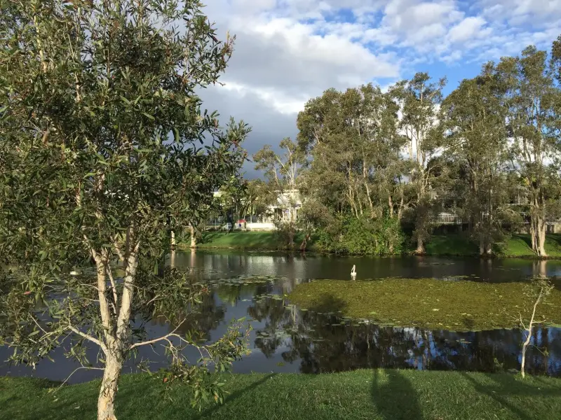 Alex Forest Conservation Area