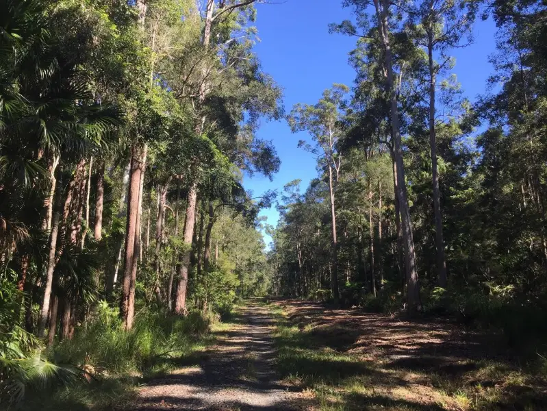 Tewantin National Park: Hovea Circuit