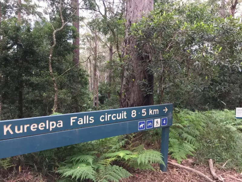 Mapleton National Park: Kureelpa Falls Circuit