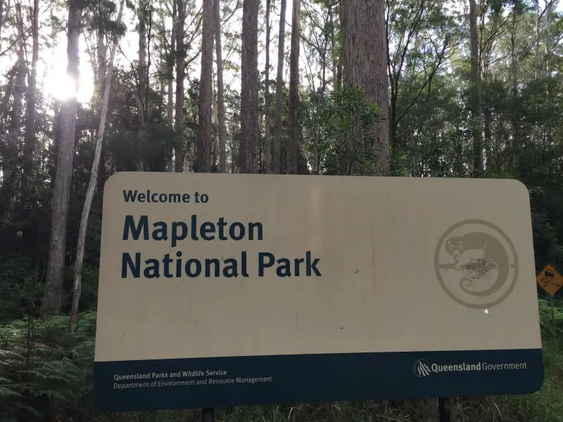 Mapleton National Park: Pilularis Forest Walk