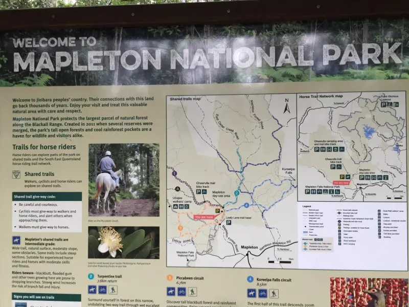 Mapleton National Park: Piccabeen Circuit