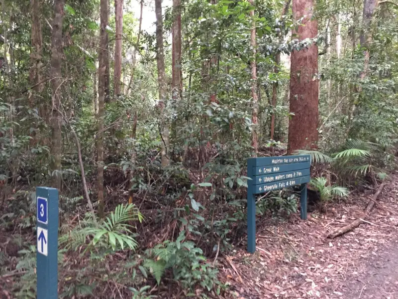 Mapleton National Park: Piccabeen Circuit
