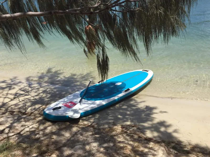Noosa River: Frying Pan Paddle
