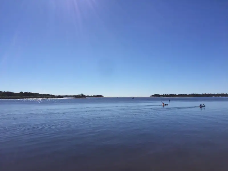 Noosa River: Frying Pan Paddle