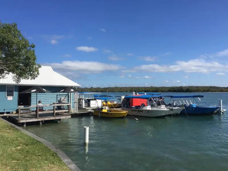 Noosa River: Frying Pan Paddle