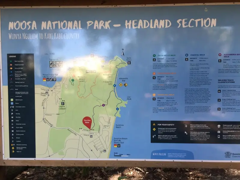 Noosa National Park. Sunshine Beach Section to Alexandria Bay
