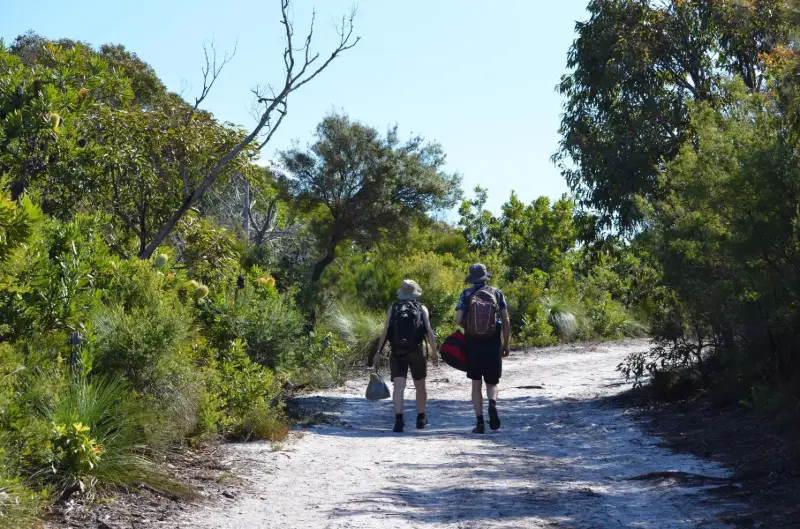 Noosa National Park. Sunshine Beach Section to Alexandria Bay