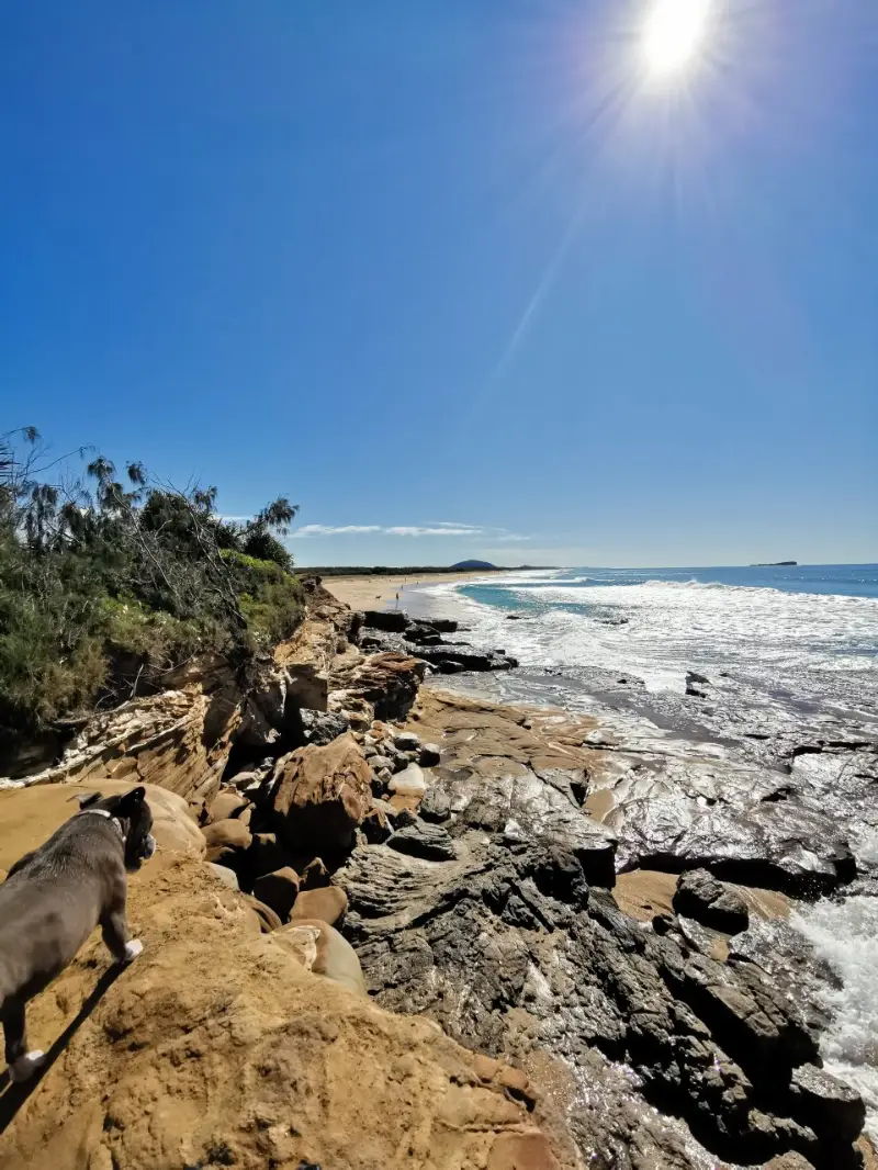 Pincushion Island Beach Walk