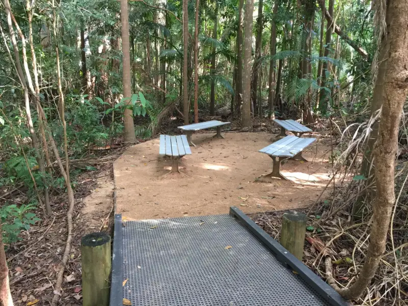 Maroochy Wetlands Boardwalk