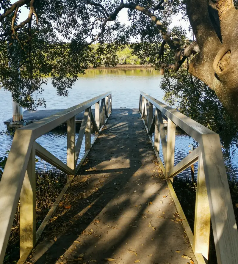 Maroochy Wetlands Boardwalk