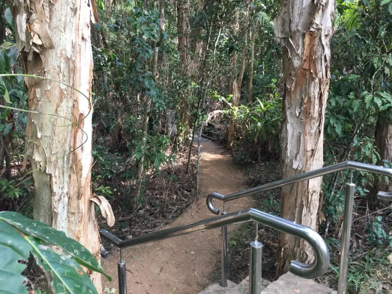 Maroochy River Canoe Trail: Muller Park Paddle 