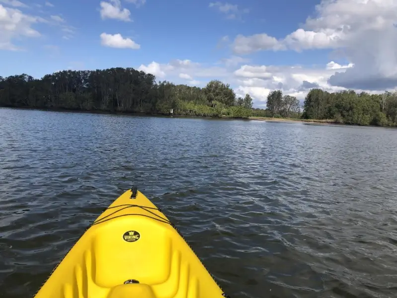 Maroochy River Canoe Trail: Muller Park Paddle 
