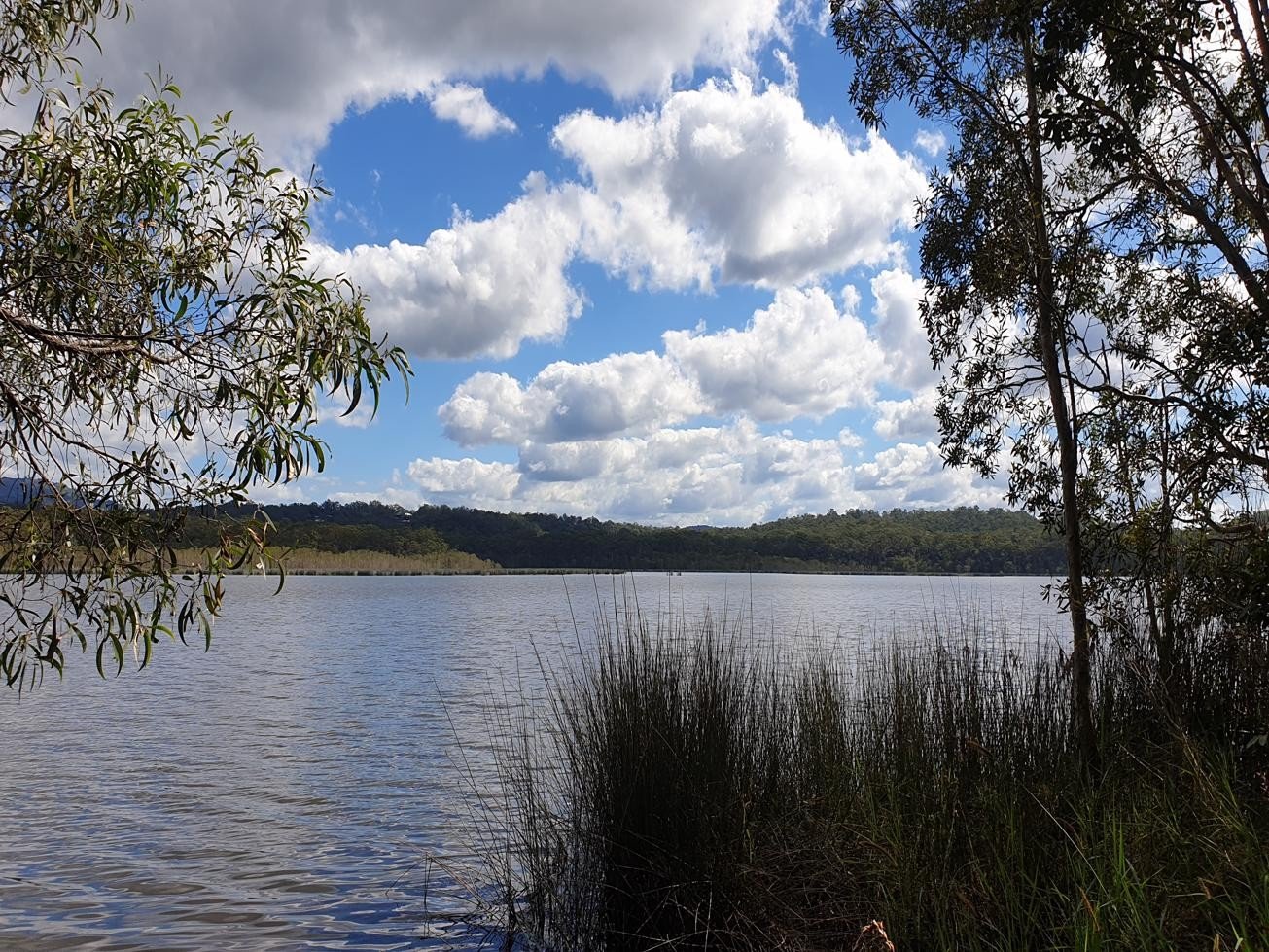 Ewen Maddock Dam: Ferny Forest MTB Loop | Adventure Sunshine Coast