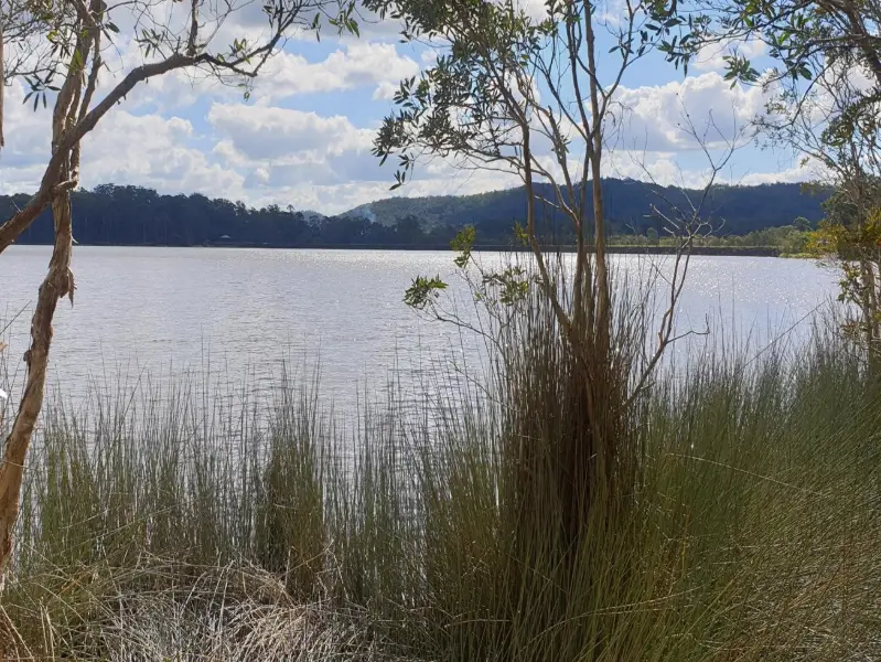 Ewen Maddock Dam: Ferny Forest MTB Loop