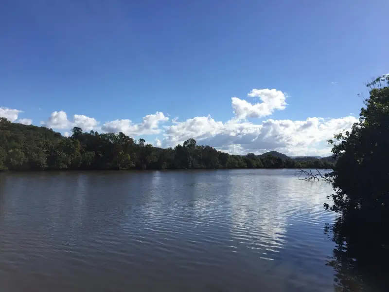 Maroochy River Canoe Trail: Ashtons Wharf to Lift Bridge