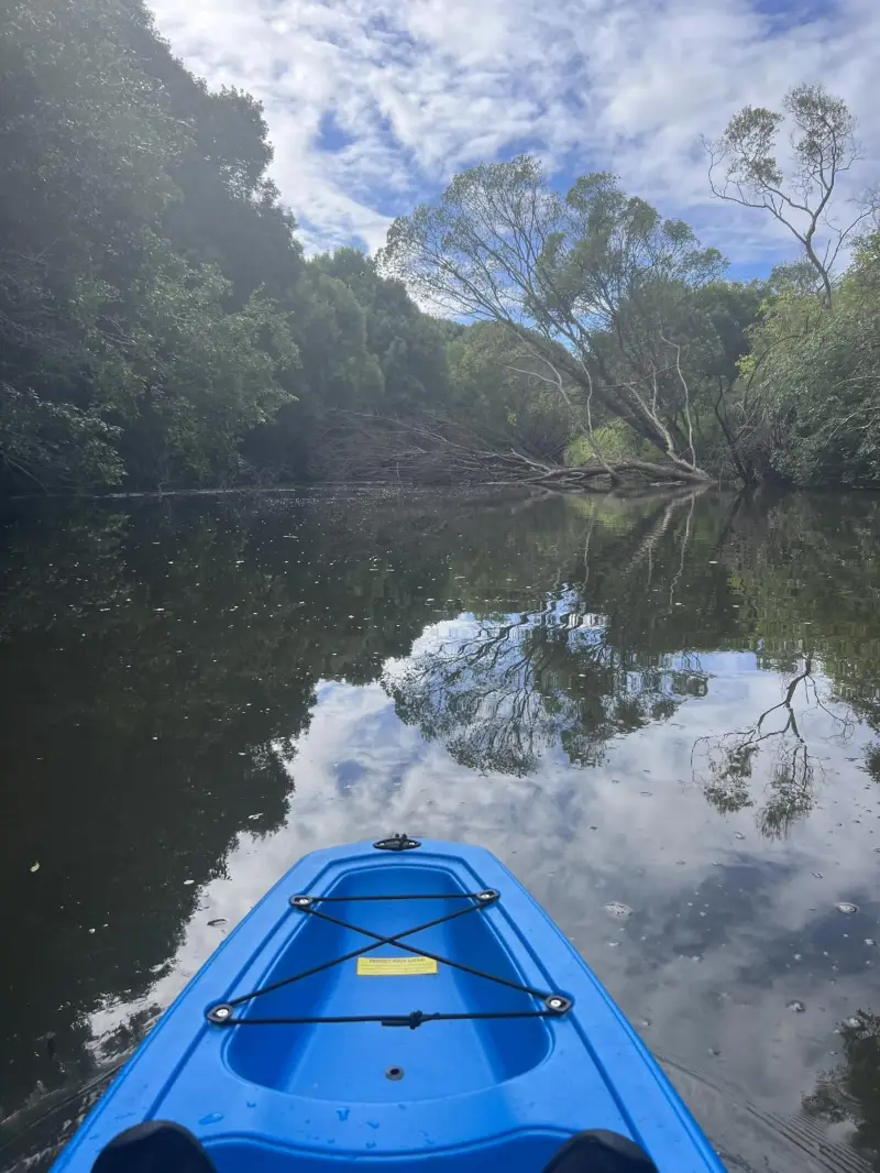 Maroochy River Canoe Trail: George Best Park to River Junction Paddle