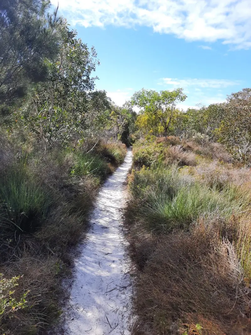 Currimundi Lake: ‘Loop the Lake’
