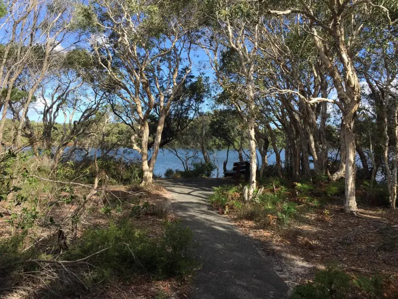 Currimundi Lake: ‘Loop the Lake’