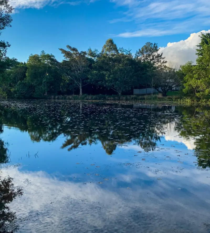 Mapleton Lilly Ponds and National Park Forest Loop