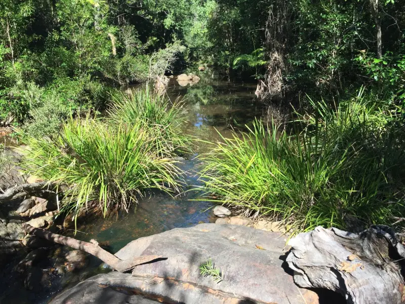 Mapleton National Park: Gheerulla Full Loop Hike