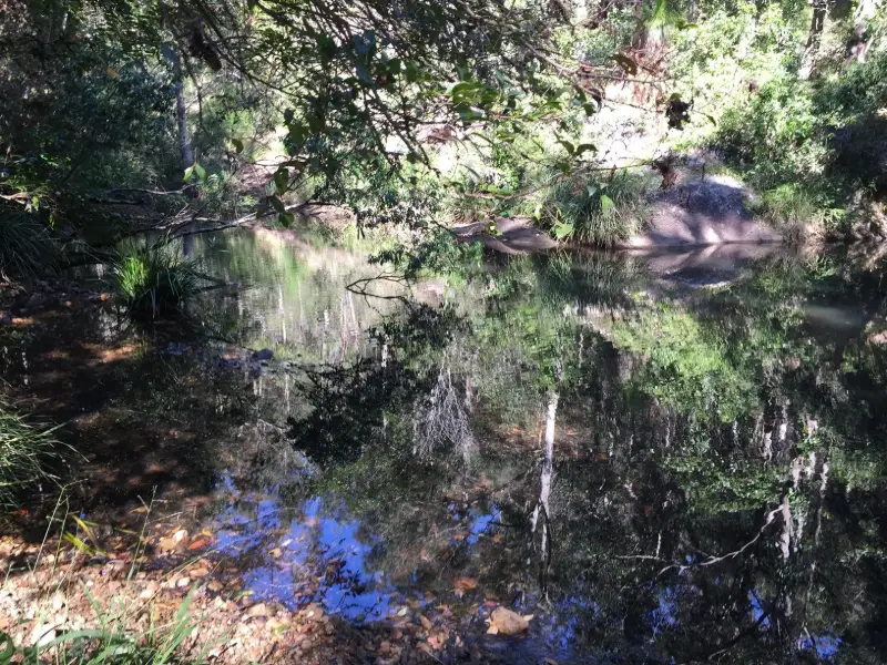 Mapleton National Park: Gheerulla Full Loop Hike