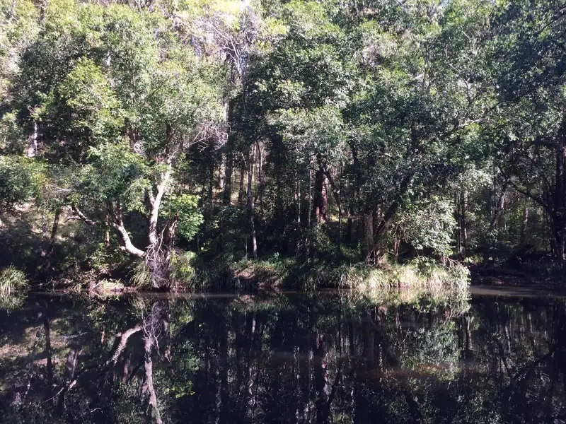 Mapleton National Park: Gheerulla Full Loop Hike