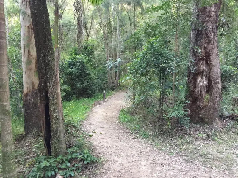 Conondale National Park: Booloumba Falls