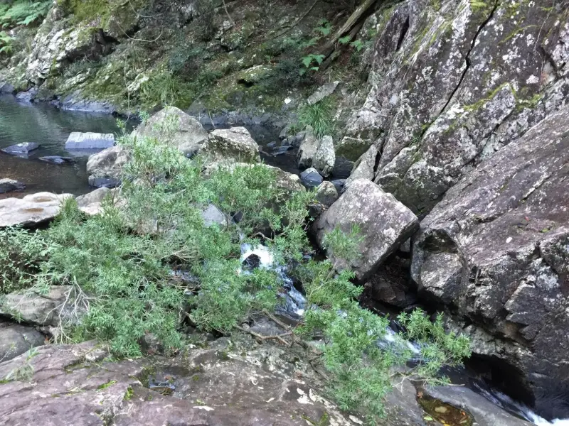 Conondale National Park: Booloumba Falls