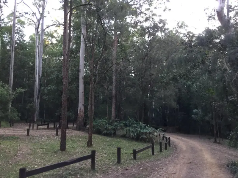 Conondale National Park: Booloumba Falls