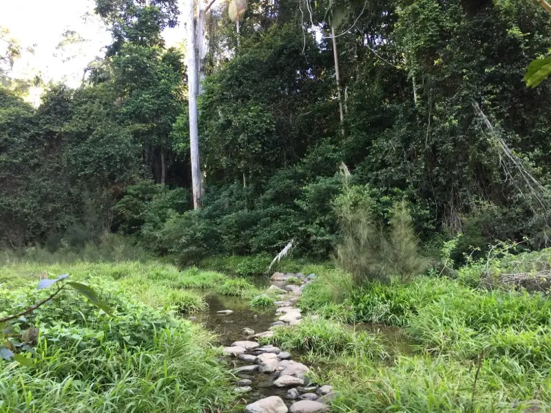Conondale National Park: Booloumba Gold Mine Walk