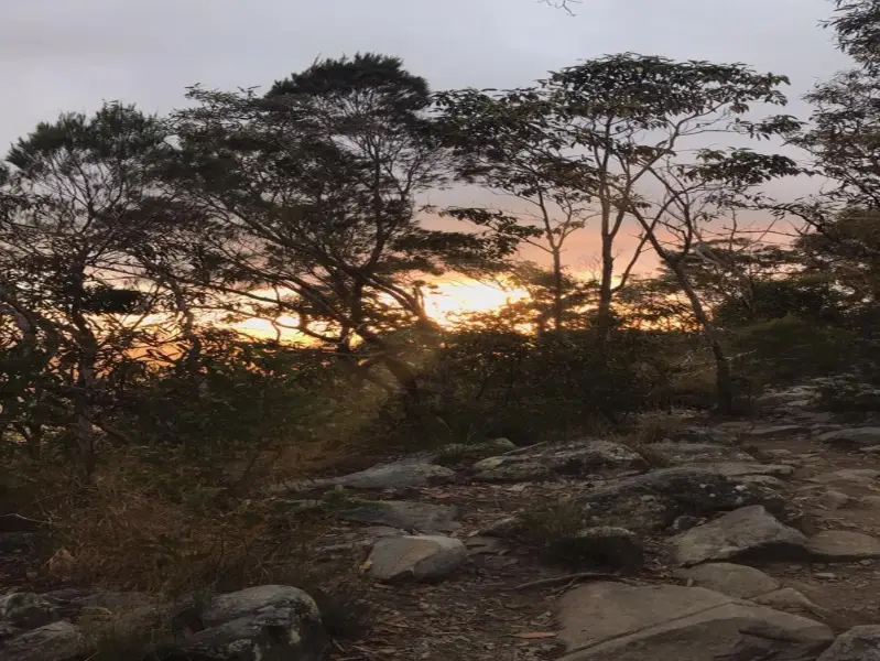 Tuchekoi National Park: Mount Cooroora