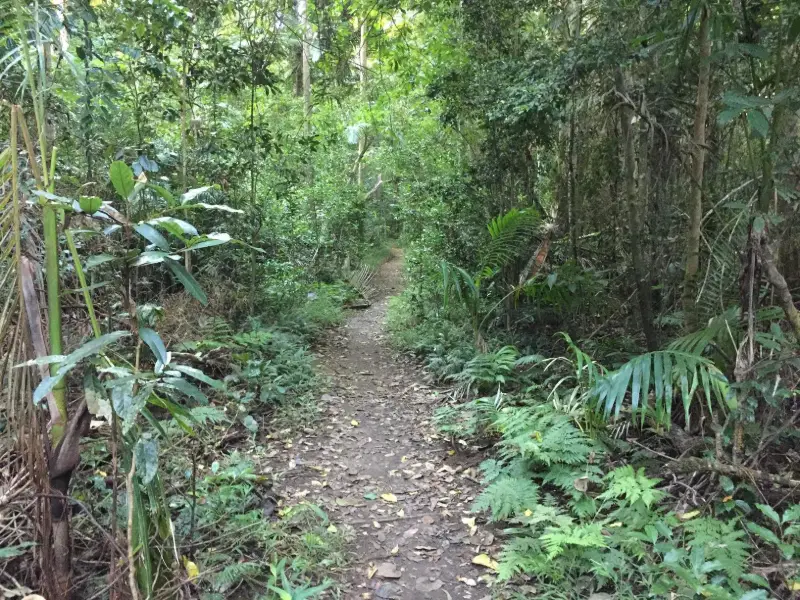 Conondale National Park: Booloumba Creek & Strangler Cairn
