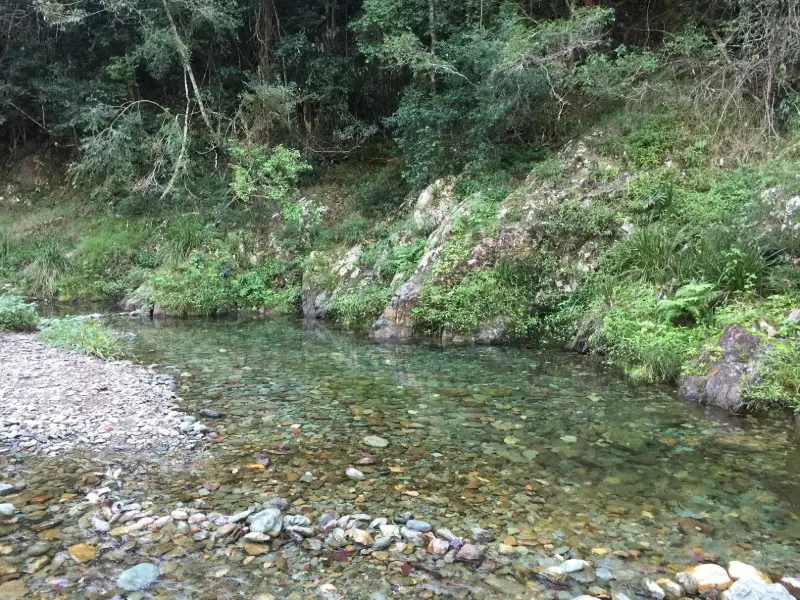 Conondale National Park: Booloumba Creek & Strangler Cairn