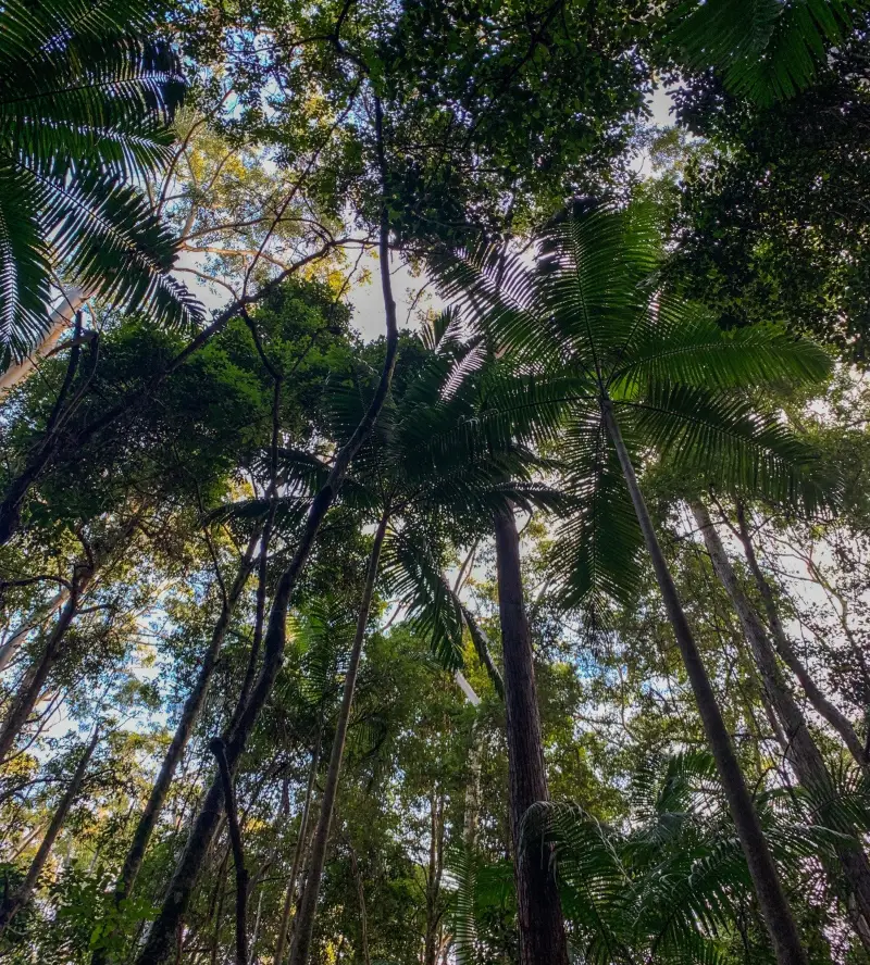 Mapleton National Park: Linda Garrett Circuit