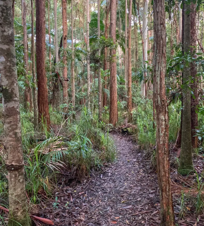 Mapleton National Park: Linda Garrett Circuit