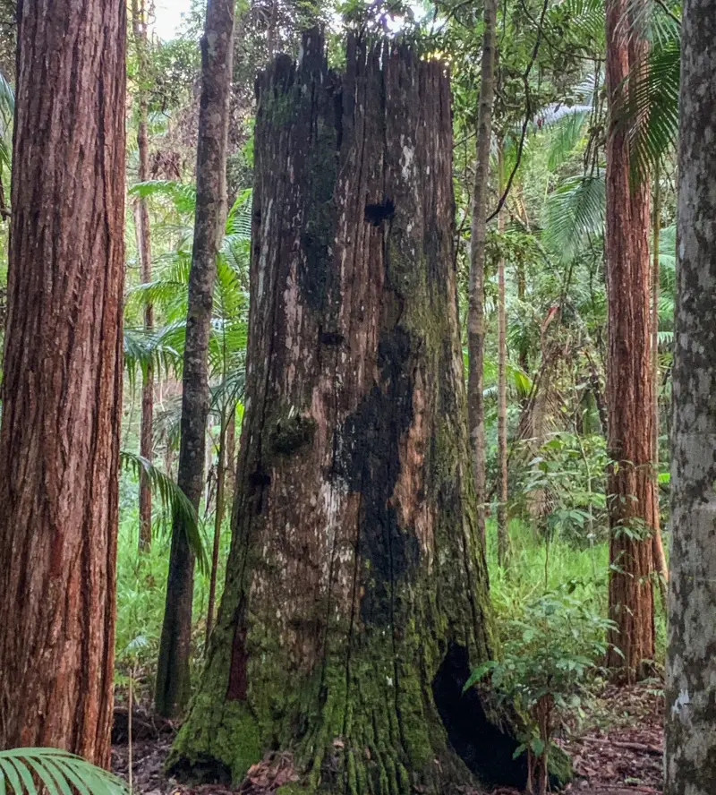 Mapleton National Park: Linda Garrett Circuit