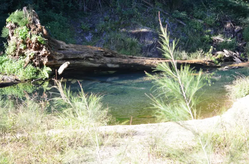 Conondale National Park: Conondale Range Great Walk – Full 56km Circuit