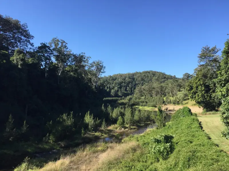 Imbil State Forest: Fig Tree Walk