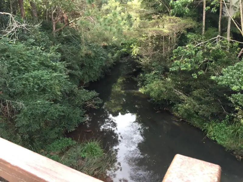 Maleny Trail to Reynolds Crossing