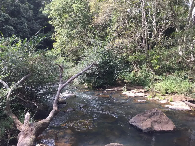 Maleny Trail to Reynolds Crossing