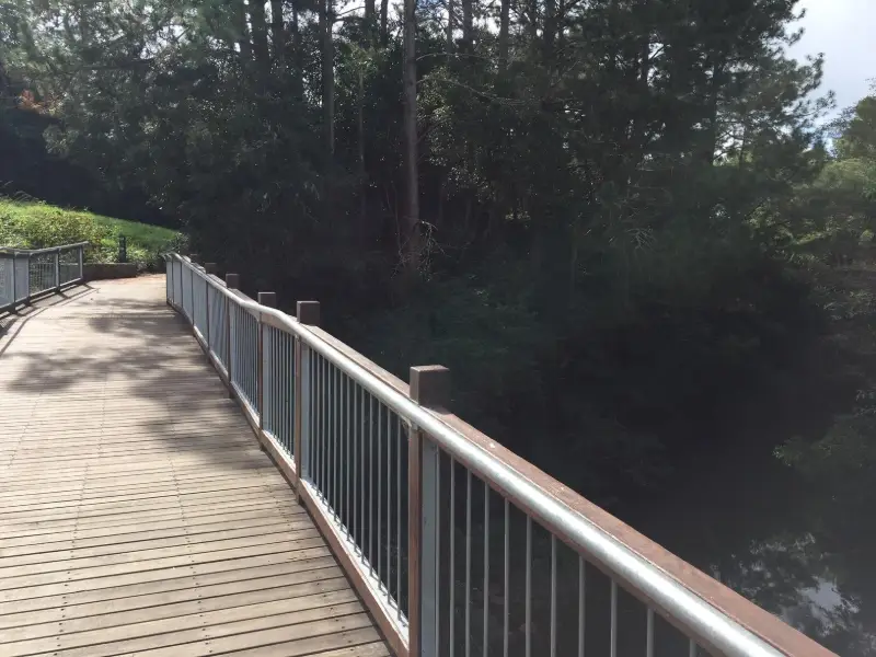Maleny Trail to Reynolds Crossing