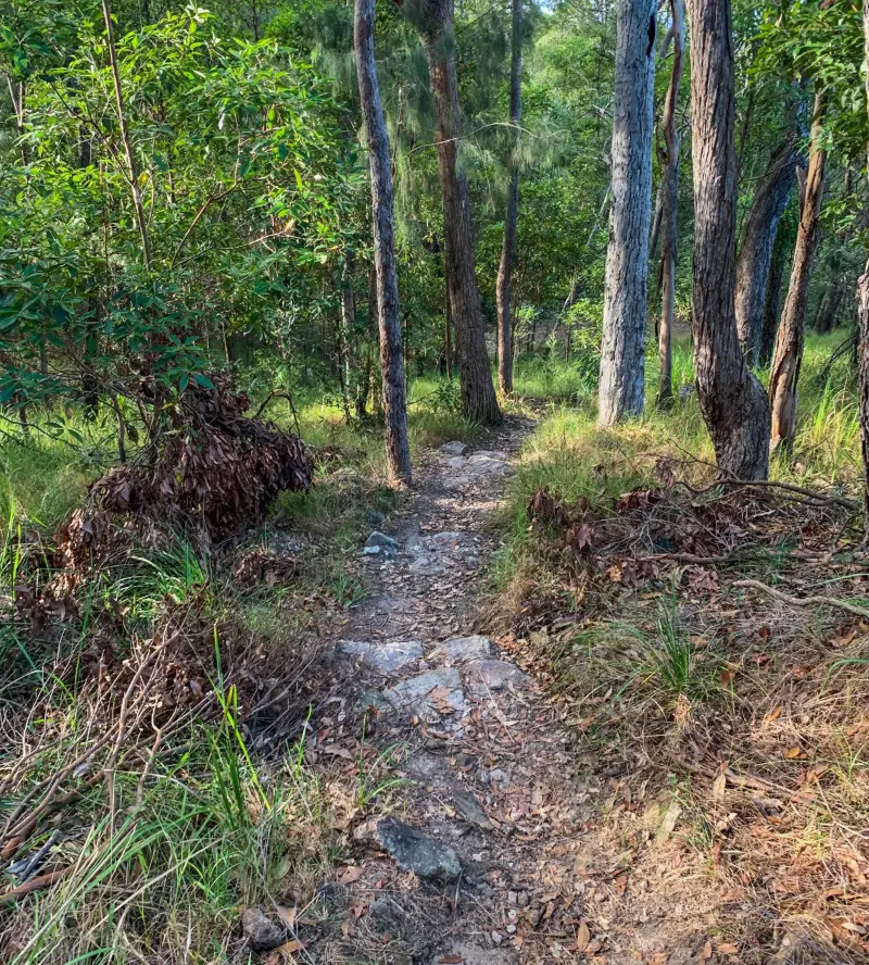 Ninderry Bushland Conservation Reserve: Walk to Wedgetail Court