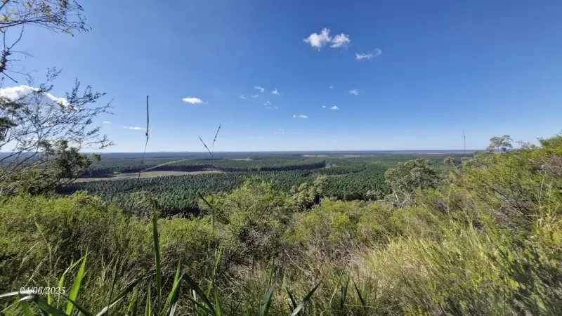 Wild Horse Mountain Lookout