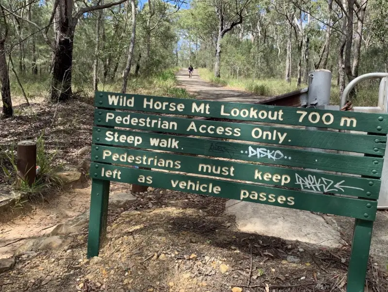 Wild Horse Mountain Lookout