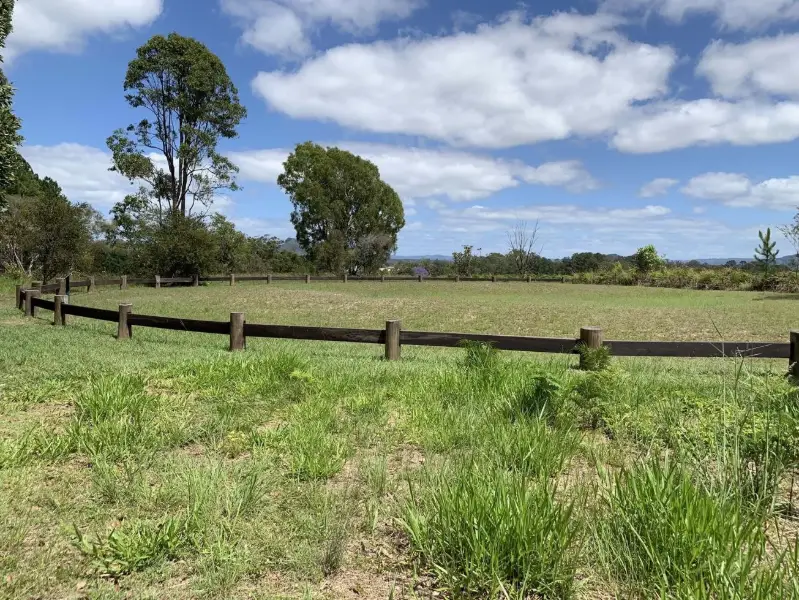 Beerwah State Forest: Bora Ring