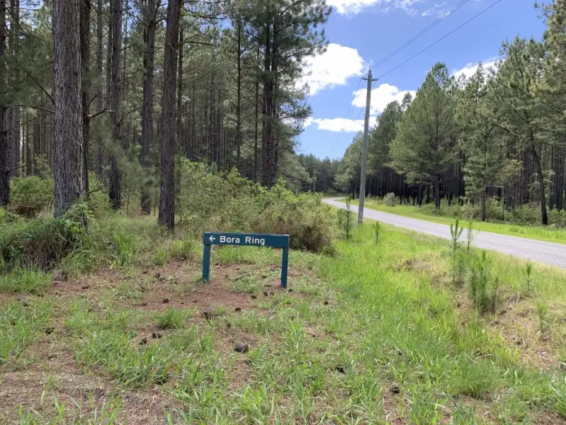 Beerwah State Forest: Bora Ring
