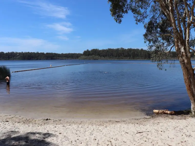 Ewen Maddock Dam Boardwalk
