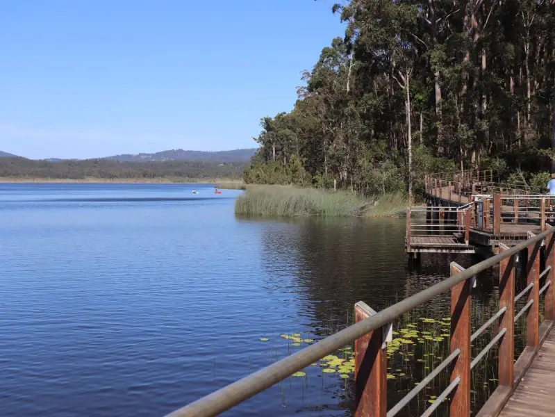 Ewen Maddock Dam Boardwalk